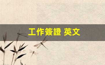 工作簽證 英文(工作簽證英文縮寫怎么寫)